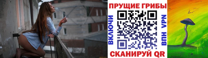 Галлюциногенные грибы ЛСД  кракен зеркало  Сим  как найти закладки 